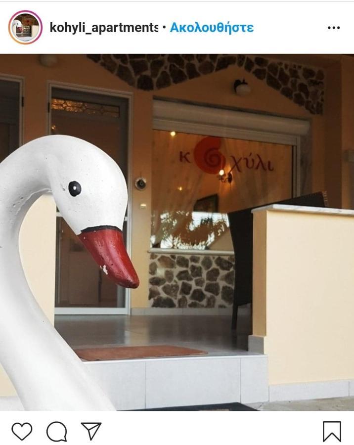 Kohyli Apartments Skala Rachoni  外观 照片